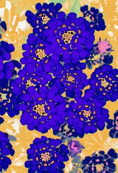 F 045D